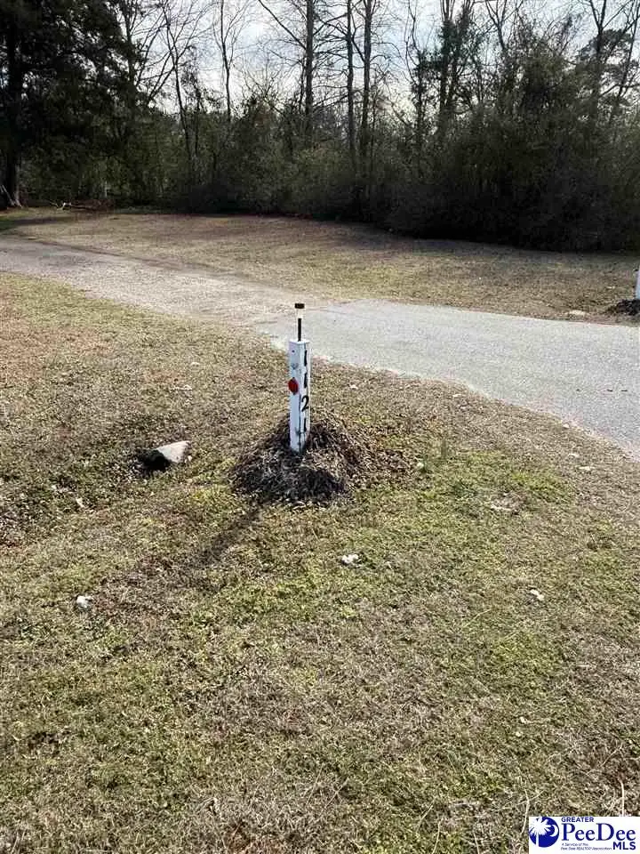 1121 Timmonsville Hwy, Darlington, SC 29532 - #2