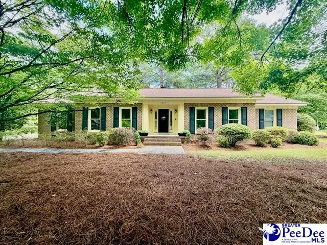 217 Loring Dr, Hartsville, SC 29550 - #1