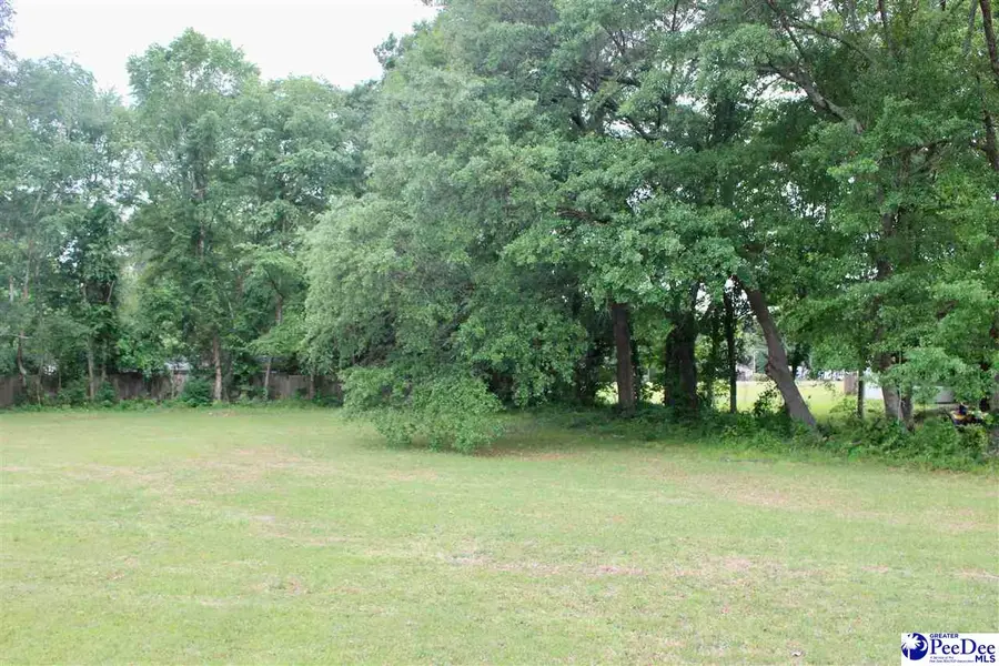 6140 Pamplico Hwy, Florence, SC 29505 - #2