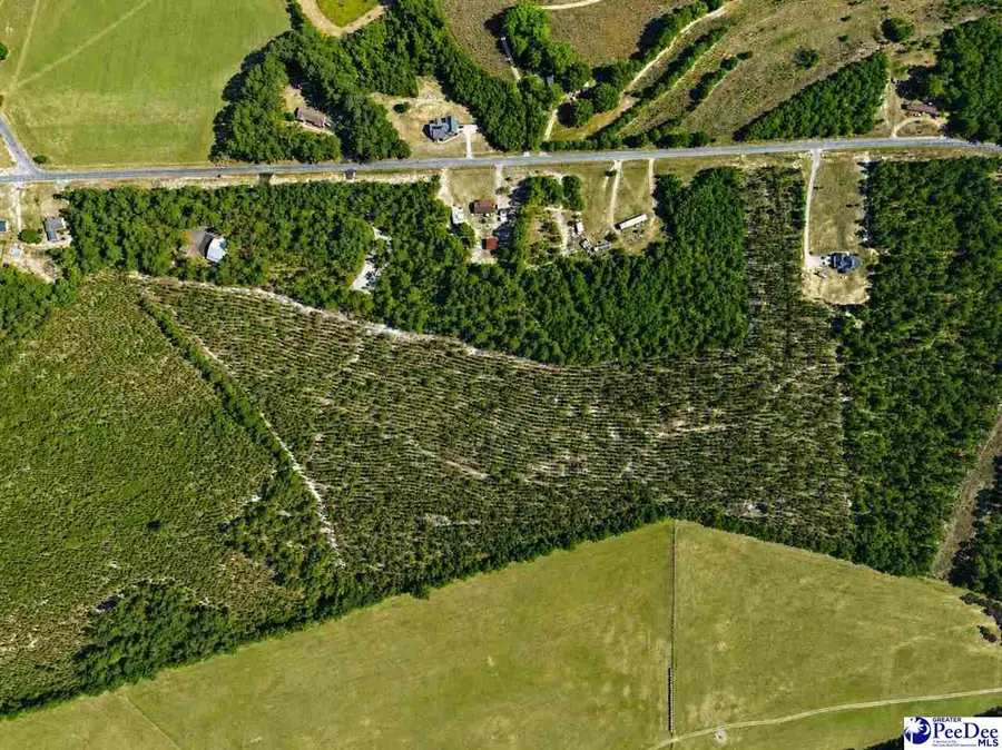 Mt. Olivet Church Rd, Patrick, SC 29584 - #2