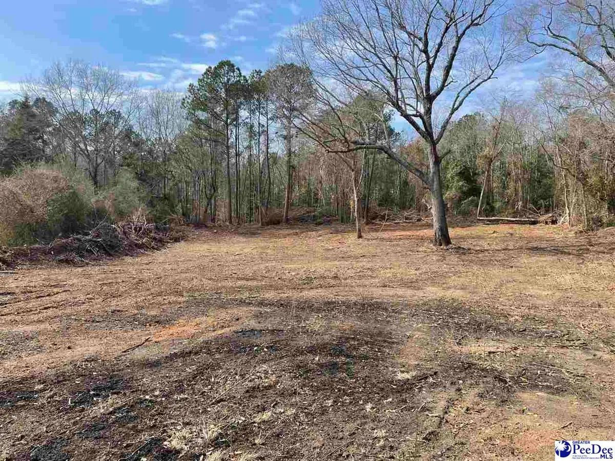 Lot 10 Ashland Rd, Hartsville, SC 29550 - #1