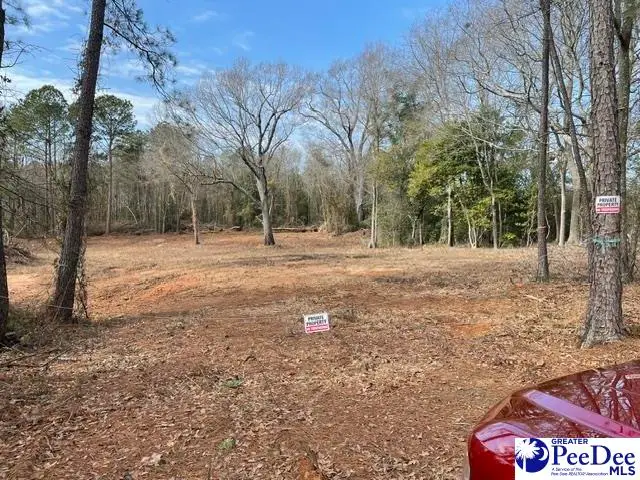 Lot 10 Ashland Rd, Hartsville, SC 29550 - #2