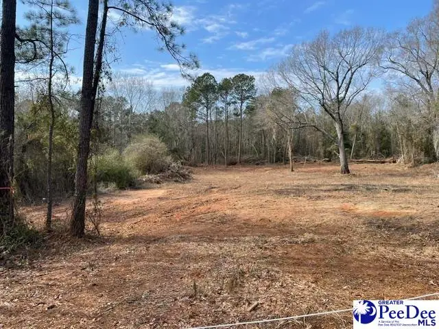Lot 10 Ashland Rd, Hartsville, SC 29550 - #3