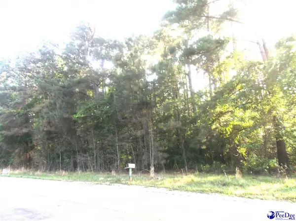 TBD Friendfield Rd, Pamplico, SC 29583