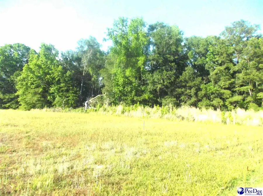 TBD Friendfield Rd, Pamplico, SC 29583 - #2