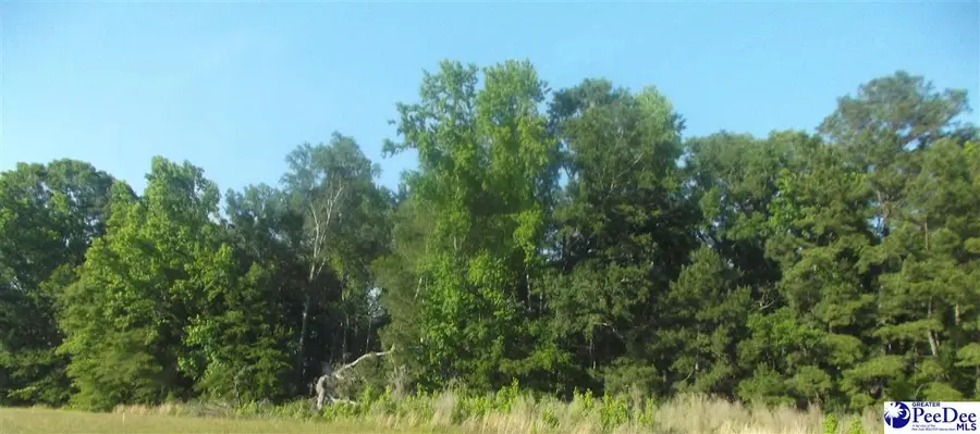 TBD Friendfield Rd, Pamplico, SC 29583 - #3