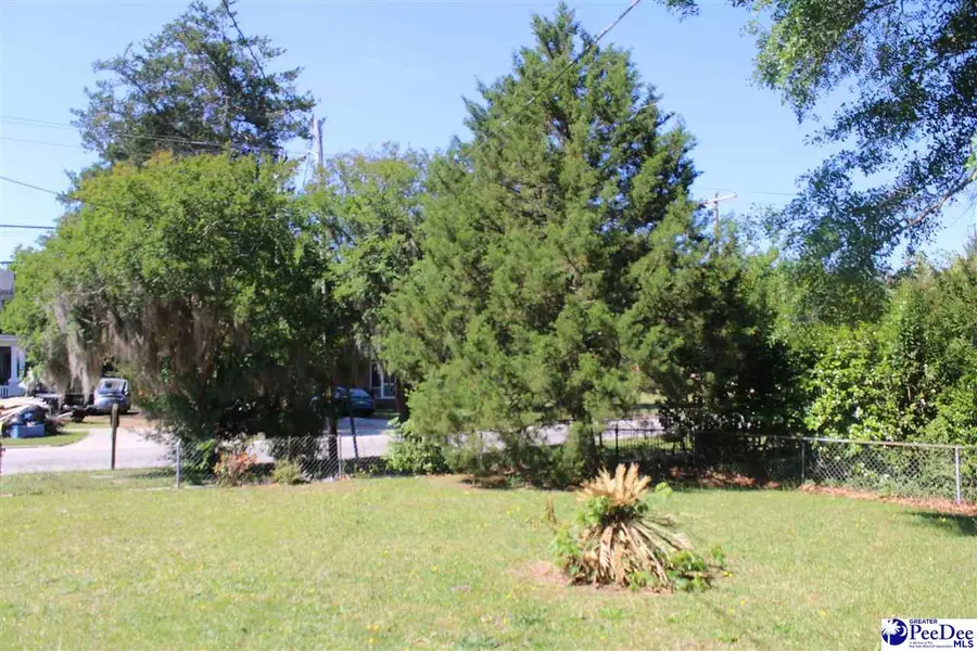 383 W Broad St., Darlington, SC 29536 - #3