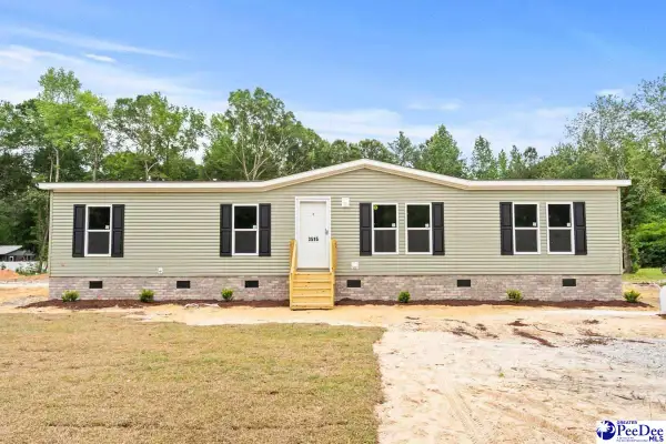 3515 Ballpark Road, Effingham, SC 29541