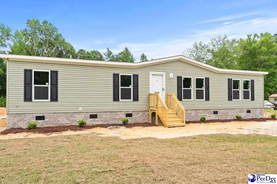 3515 Ballpark Road, Effingham, SC 29541 - #2