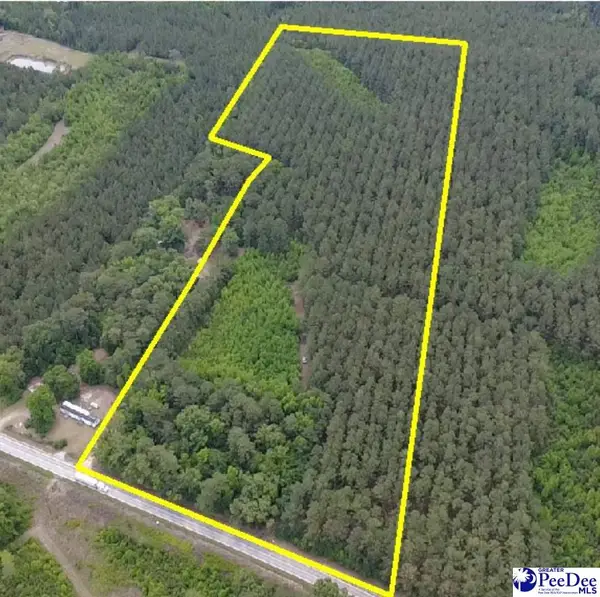 9214 Kingstree Hwy (tract A), Greeleyville, SC 29056