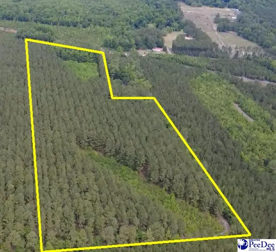 9214 Kingstree Hwy (tract A), Greeleyville, SC 29056 - #3