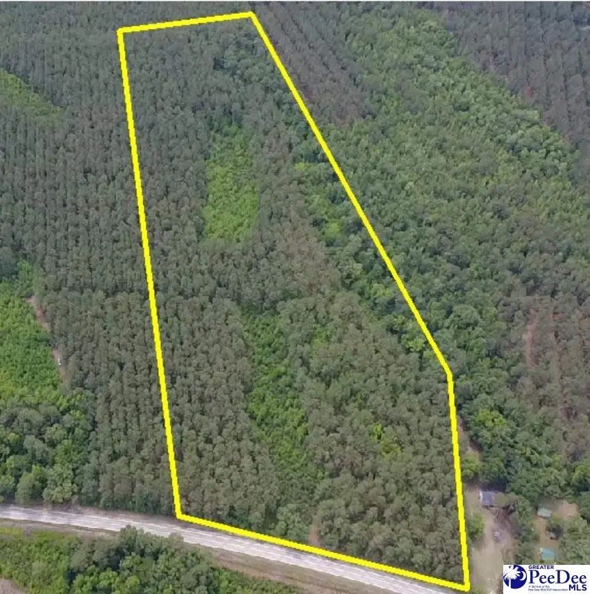 9214 Kingstree Hwy (tract B), Greeleyville, SC 29056 - #1
