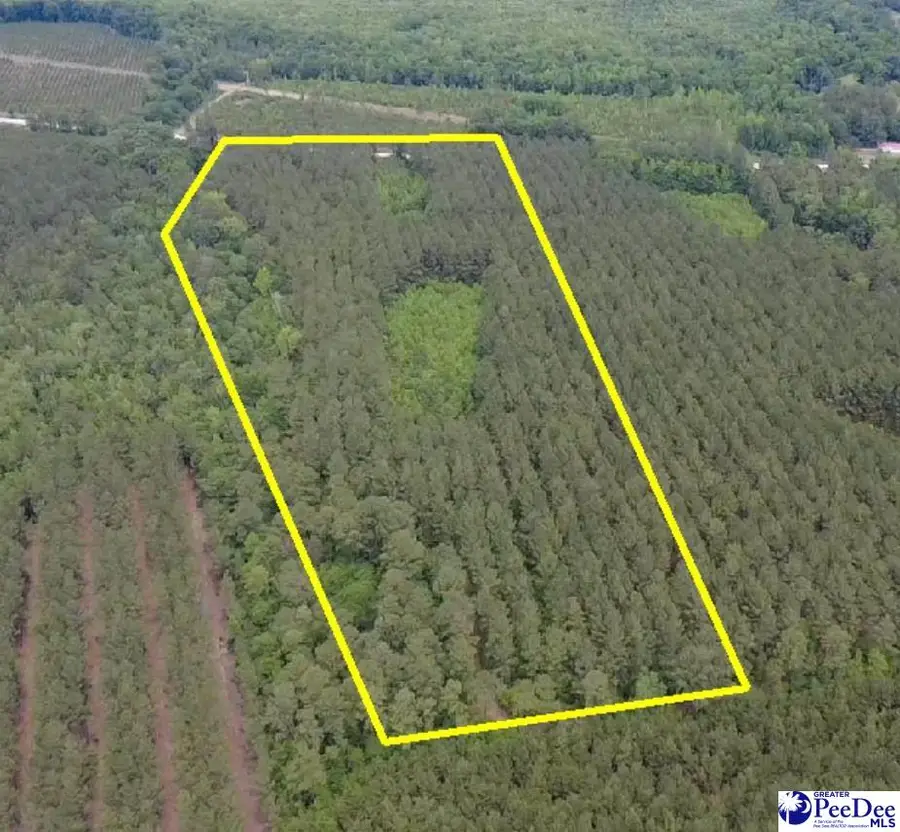 9214 Kingstree Hwy (tract B), Greeleyville, SC 29056 - #2
