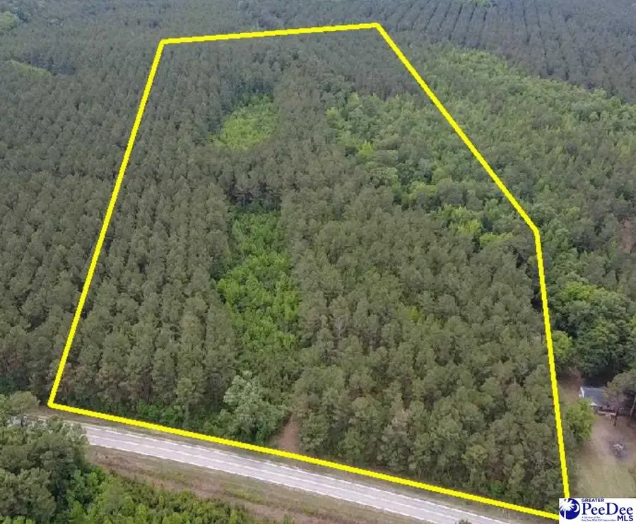 9214 Kingstree Hwy (tract B), Greeleyville, SC 29056 - #3