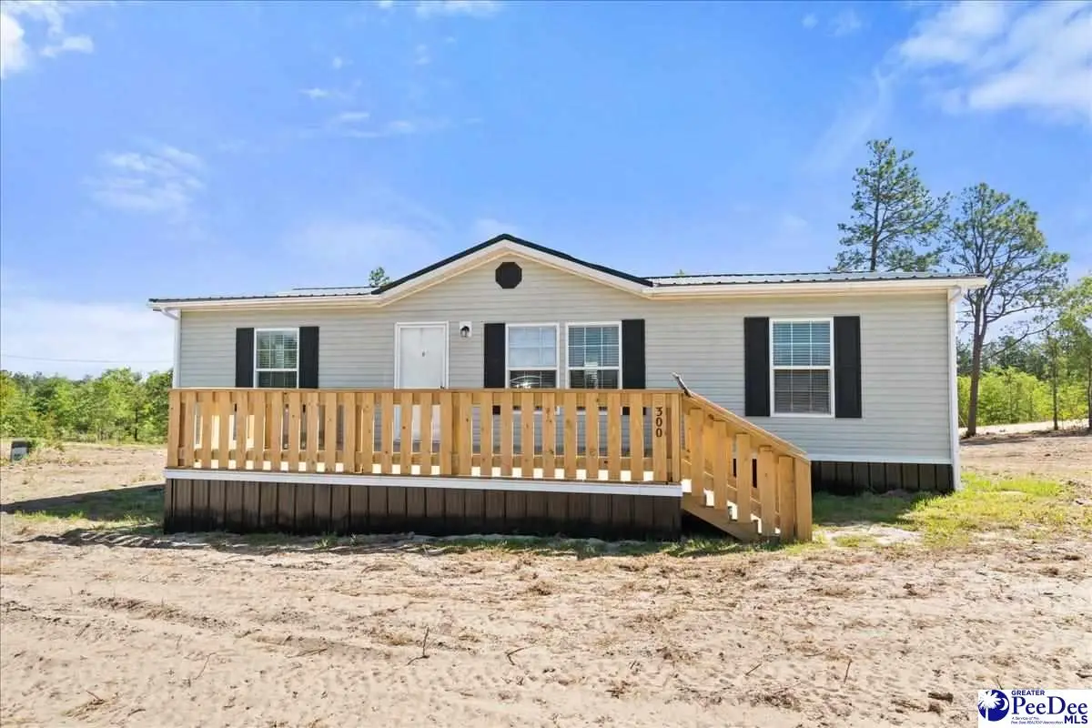 300 Bailey Sawmill Road, Ruby, SC 29741 - #1