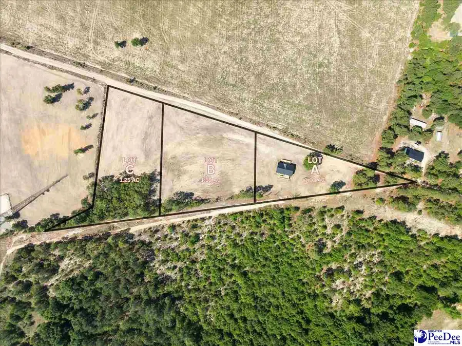 300 Bailey Sawmill Road, Ruby, SC 29741 - #2