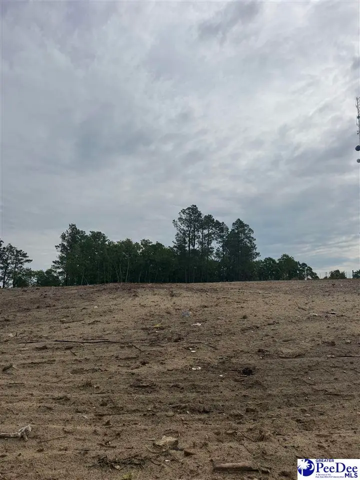 Lot B Bailey Sawmill Road, Ruby, SC 29741 - #2