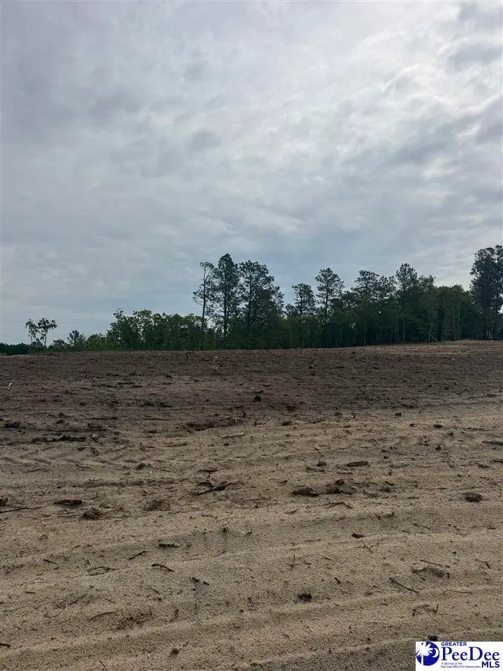 Lot C Bailey Sawmill, Ruby, SC 29741 - #2