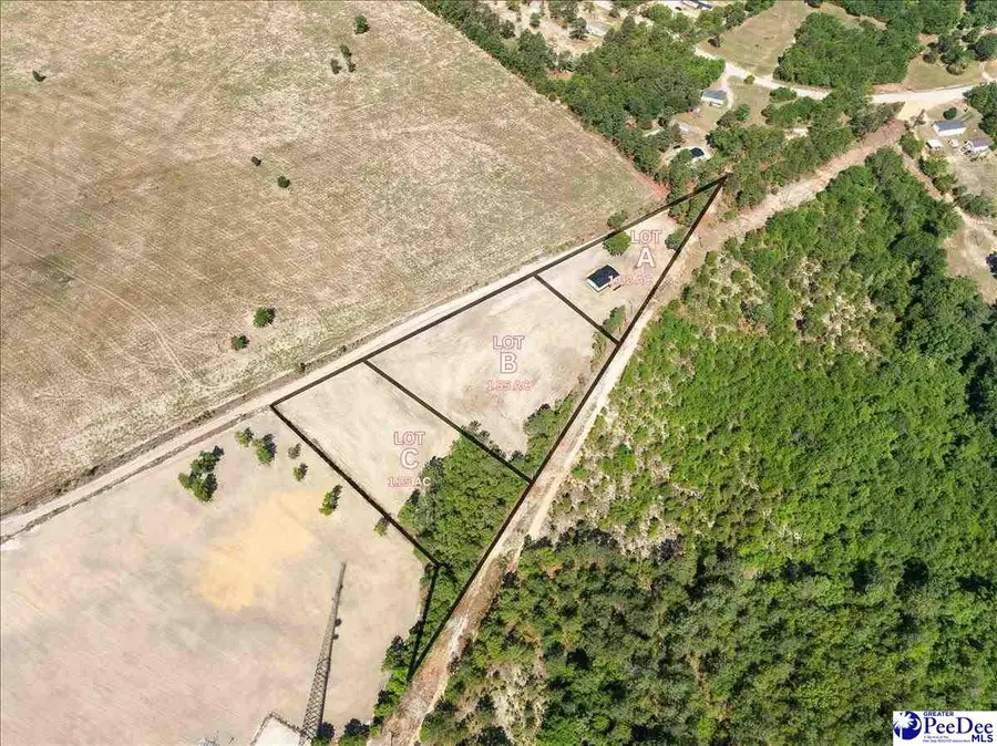 Lot C Bailey Sawmill, Ruby, SC 29741 - #3