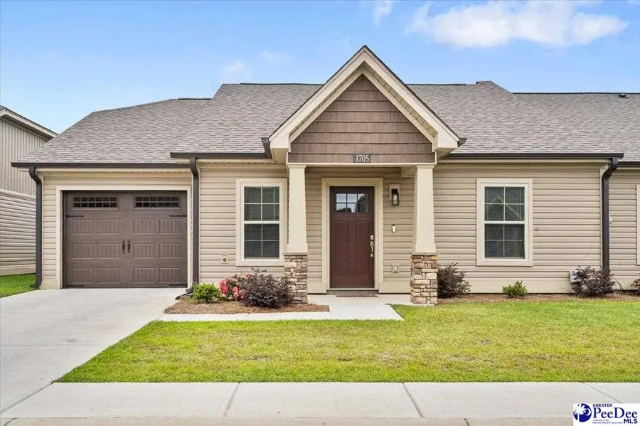 1705 Tuxedo Junction, Effingham, SC 29541 - #3