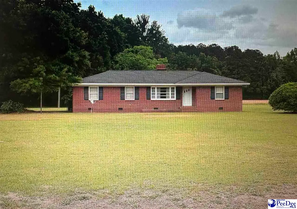 10555 Douglas Swamp Rd, Lynchburg, SC 29080 - #1