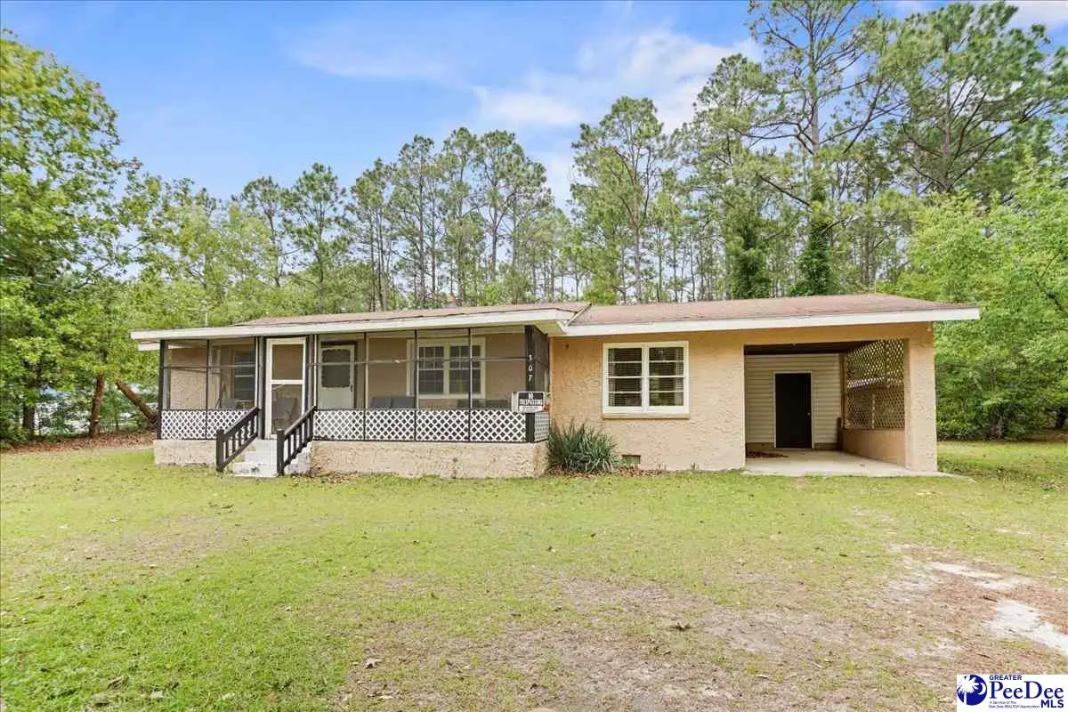 307 Hyland Lane, McBee, SC 29101 - #1