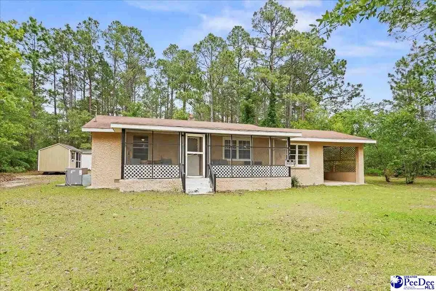 307 Hyland Lane, McBee, SC 29101 - #2