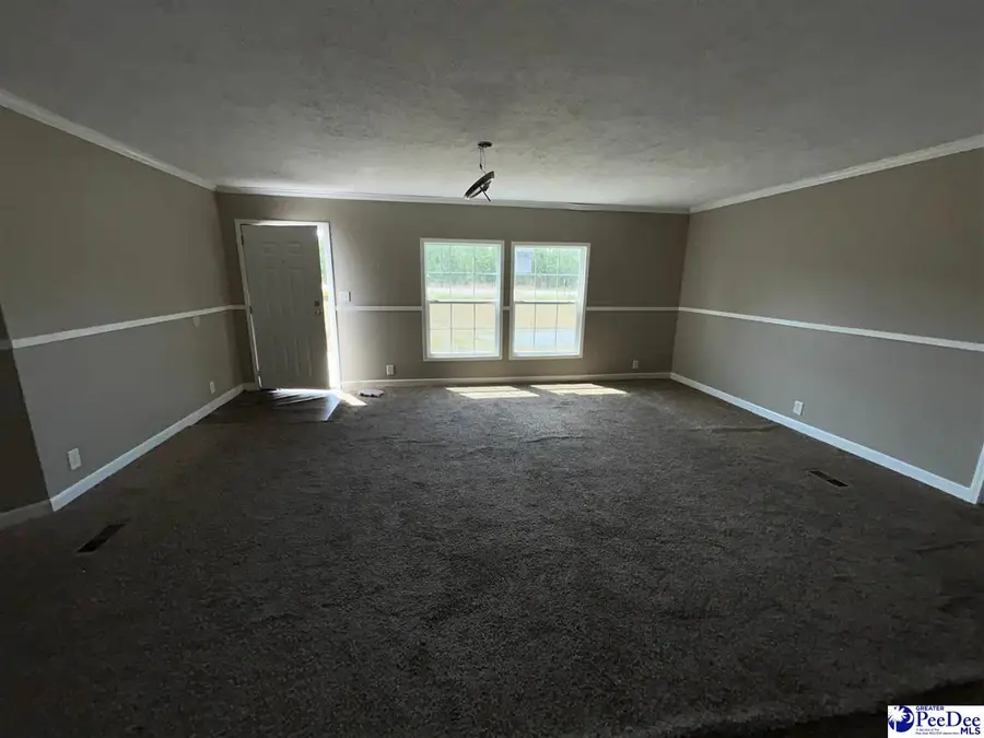 1625 Hannah Pond Rd, McBee, SC 29101 - #3