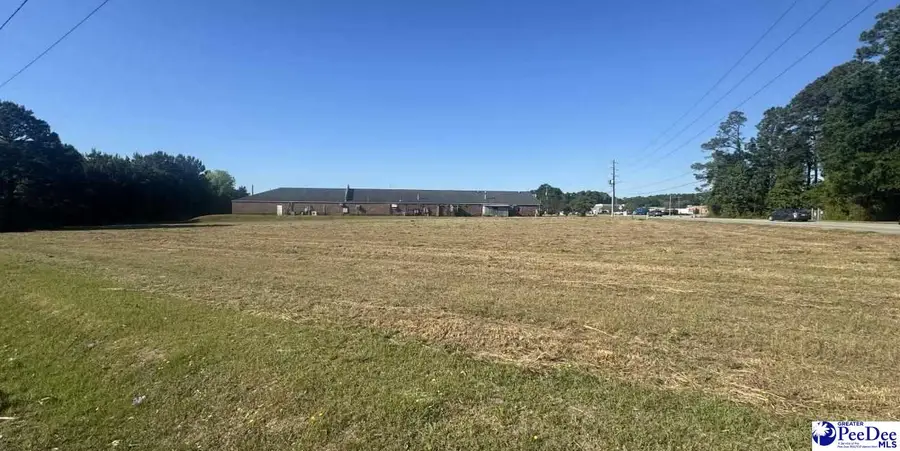 W Greene St, Cheraw, SC 29520 - #2