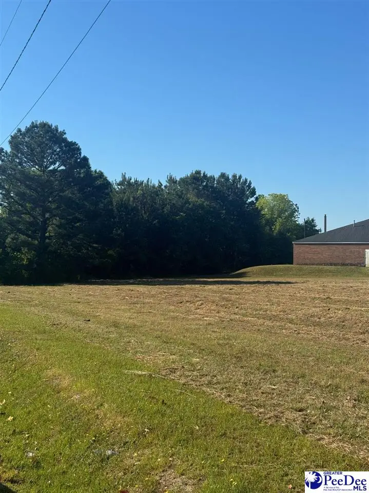 W Greene St, Cheraw, SC 29520 - #3