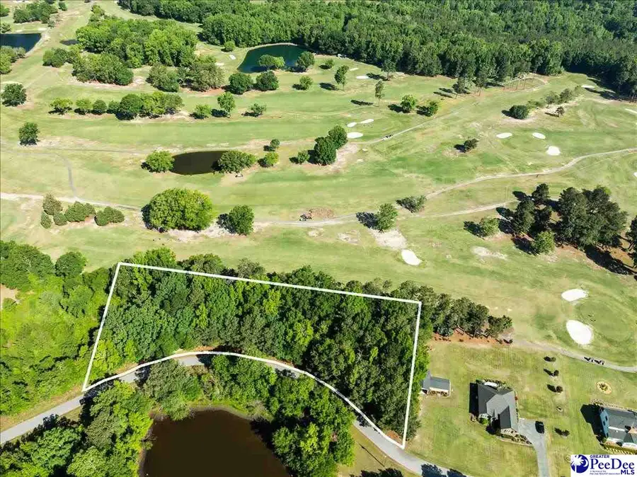 TBD Fairway Lane, Pageland, SC 29728 - #2