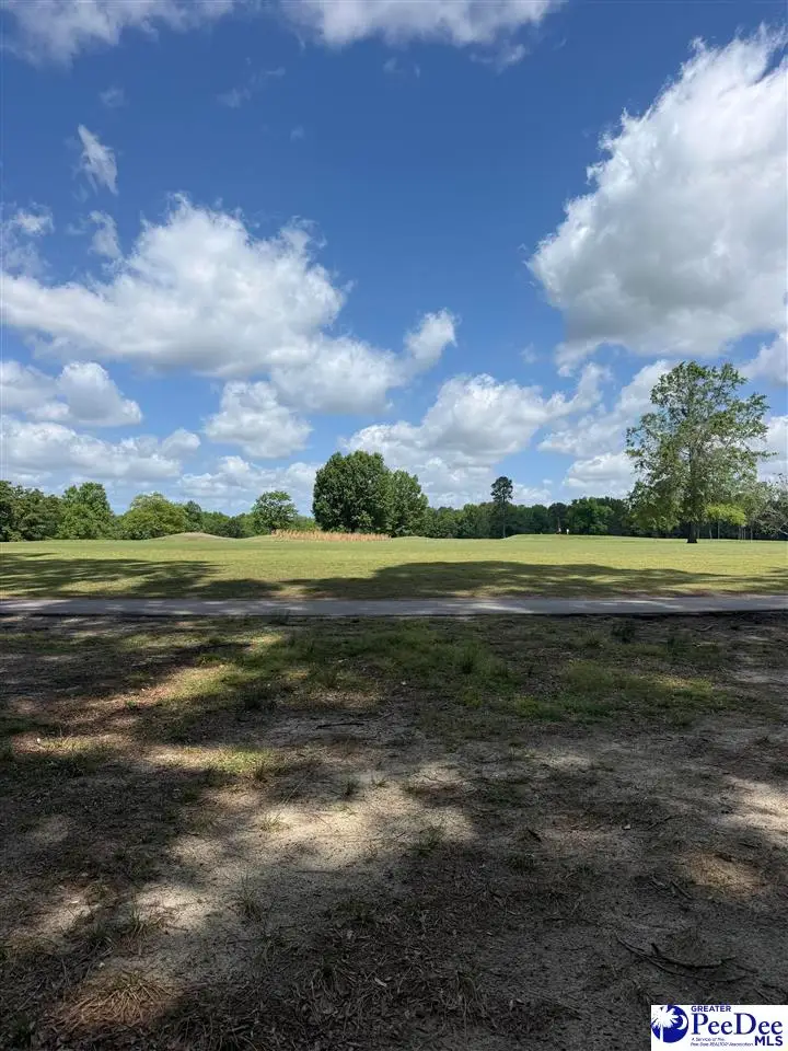 TBD Fairway Lane, Pageland, SC 29728 - #3