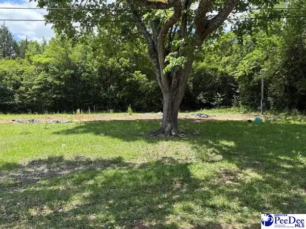 1108 E Hudson Street, Dillon, SC 29536