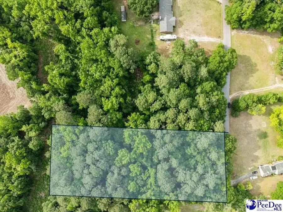 Lot#2 Hickory Grove, Florence, SC 29501 - #2