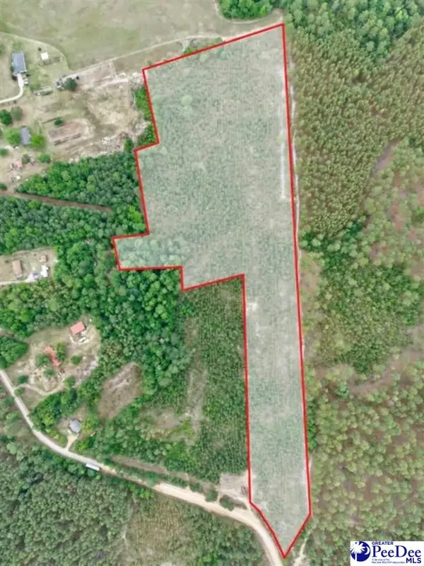 J.c. Barefoot Rd, Patrick, SC 29584