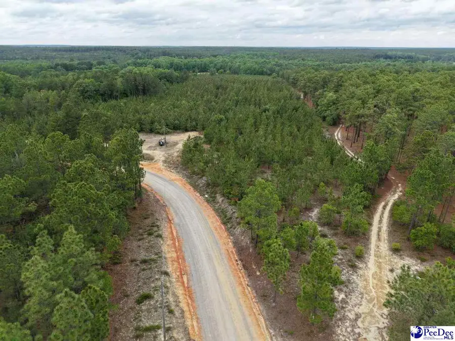 J.c. Barefoot Rd, Patrick, SC 29584 - #2