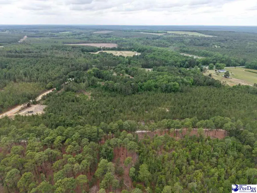 J.c. Barefoot Rd, Patrick, SC 29584 - #3