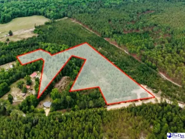 231 Jc Barefoot Rd, Patrick, SC 29584