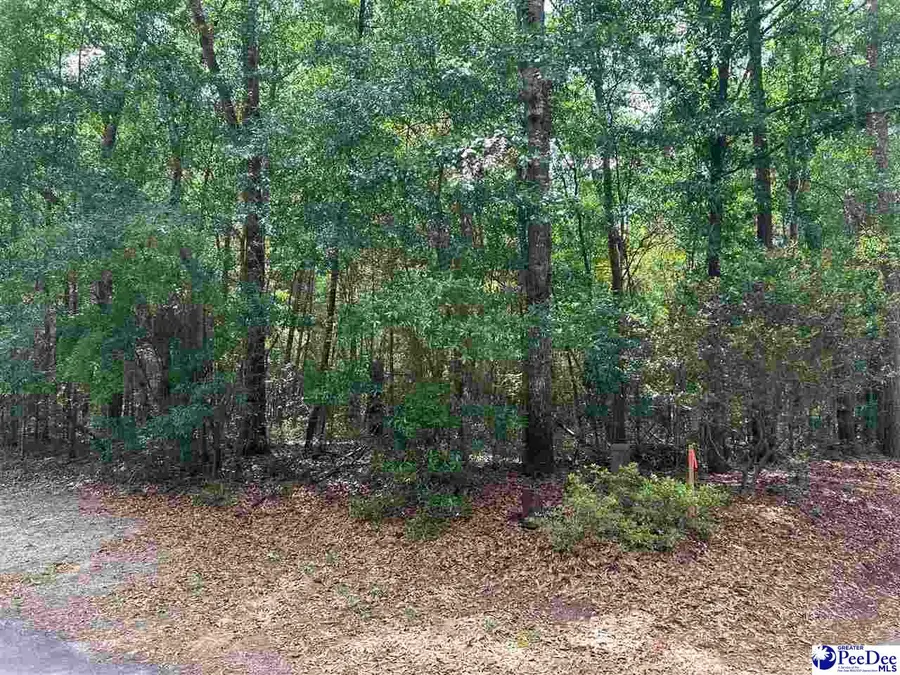 20009 Heyward Ct, Florence, SC 29506 - #3
