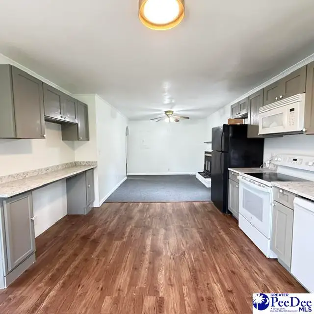 1345 Fisherman Road, Lamar, SC 29069 - #3