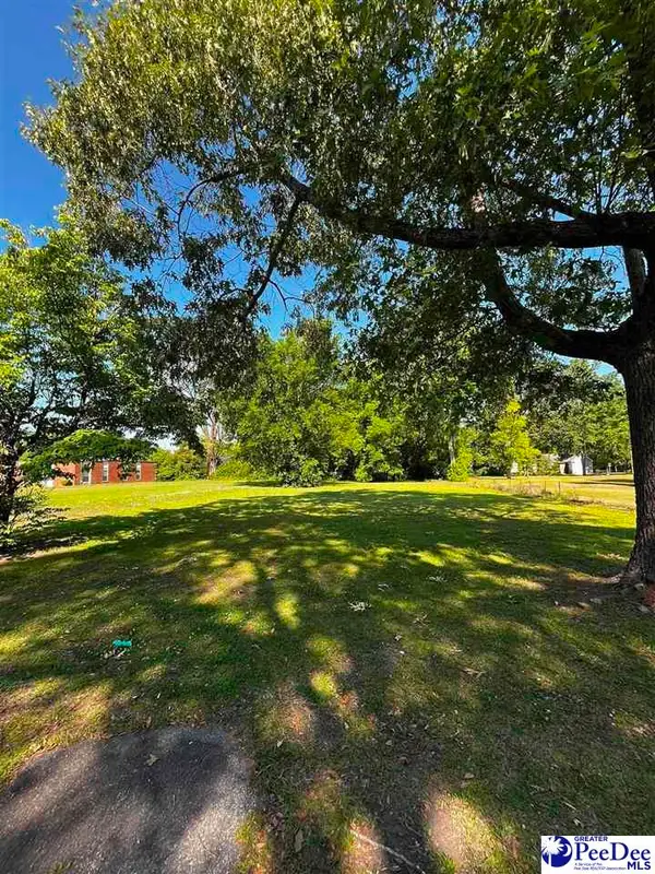310 Bobby L Davis Blvd, Marion, SC 29571