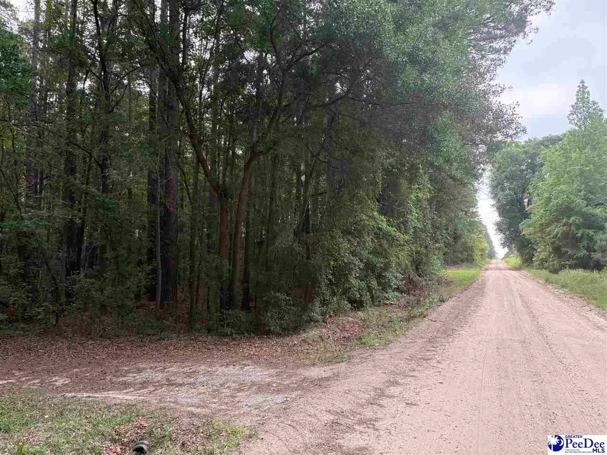 TBD Flat Creek Rd, Darlington, SC 29540 - #1
