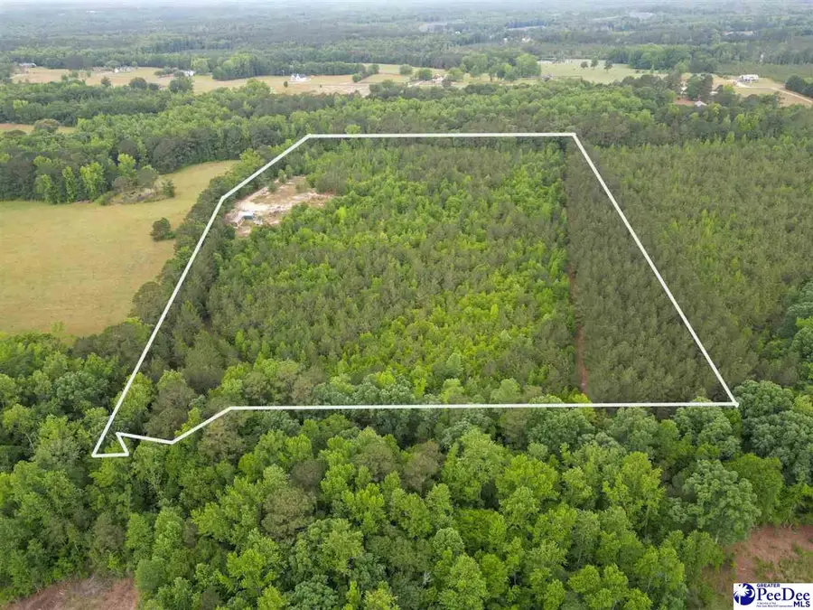 1490 Shiloh Acres Road, Chesterfield, SC 29709 - #2