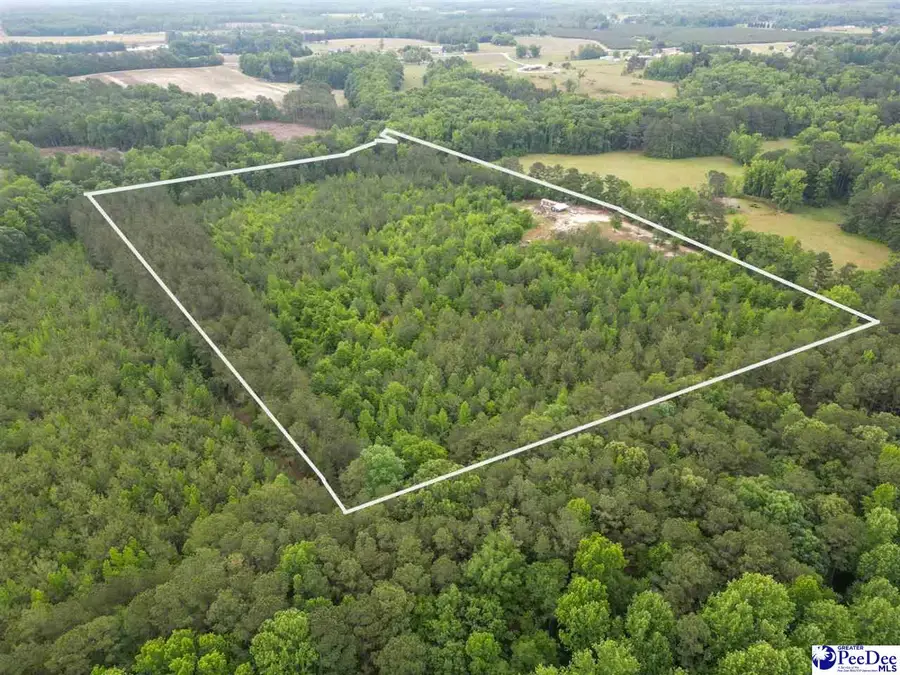1490 Shiloh Acres Road, Chesterfield, SC 29709 - #3
