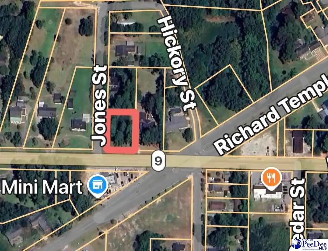 TBD Corner Of Highway 9 & Hickory Street, Lake View, SC 29563 - #1