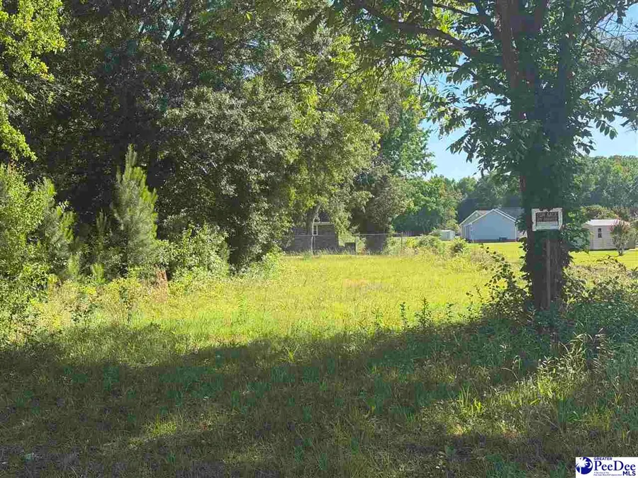 711 W Dargan Street, Dillon, SC 29536 - #2