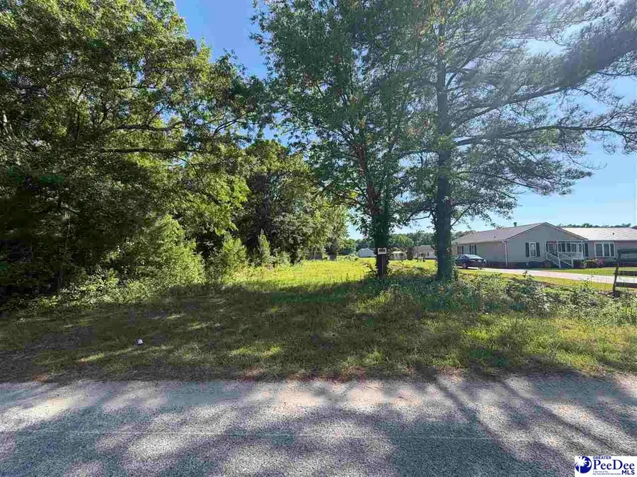 711 W Dargan Street, Dillon, SC 29536 - #3