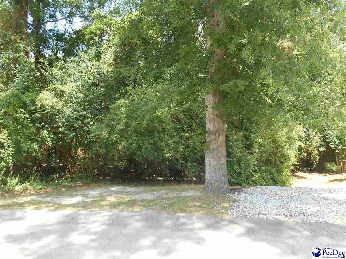 1007 Hondros Circle, Florence, SC 29505 - #1