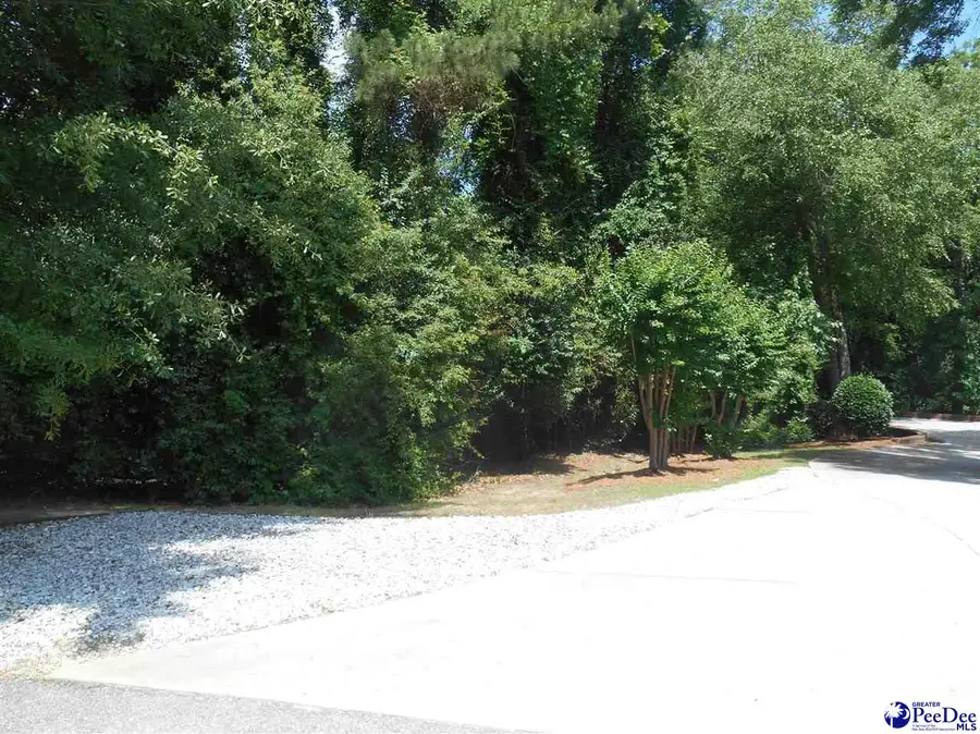 1007 Hondros Circle, Florence, SC 29505 - #2