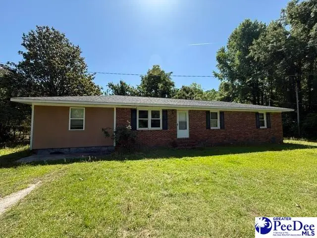 2398 Hotel St, Alcolu, SC 29001 - #1